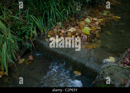 Foglie di autunno nel flusso in prima Park Cottages Bath Somerset England Regno Unito Foto Stock