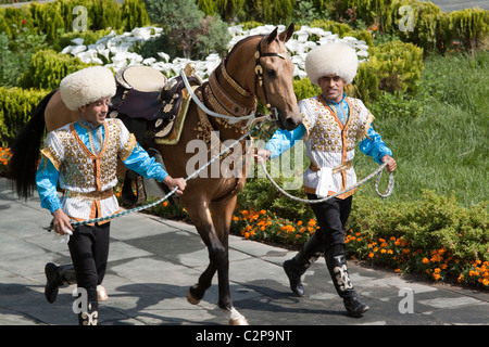 Un Ahal Teke cavallo è sfilavano sulla nazionale cavallo turkmeno giorno, Turkmenstan Foto Stock