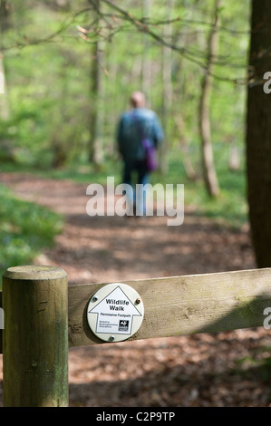 La fauna selvatica a piedi segno su un recinto di fronte un uomo che cammina in un bosco BBOWT Wildlife riserva naturale in primavera. Oxfordshire, Regno Unito Foto Stock