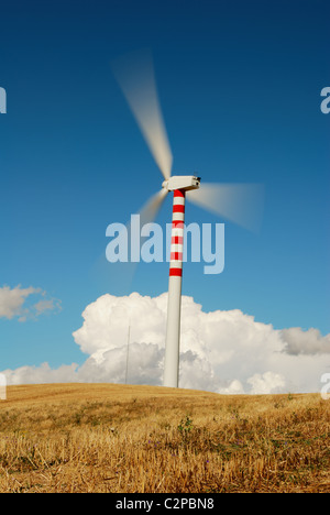 Turbina eolica ad asse verticale nel campo della paglia Foto Stock