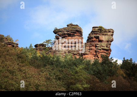 Herbst in der Pfalz Foto Stock