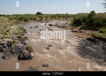 Fiume di Mara Masai Mara Game Reserve Kenya Foto Stock