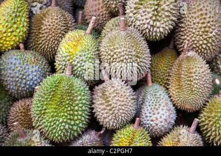 Frutta del Durian Foto Stock