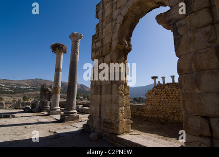 Basilica, Numidian, sito romano di Volubilis, vicino a Meknes, Marocco Foto Stock