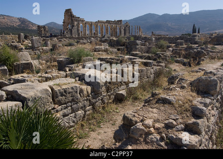 Alla Basilica, Numidian, sito romano di Volubilis, vicino a Meknes, Marocco Foto Stock