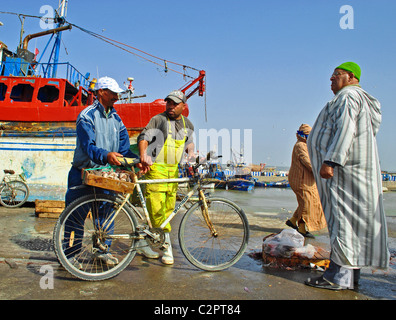 Scena colorata al porto da pesca a Essaouira, Marocco Foto Stock