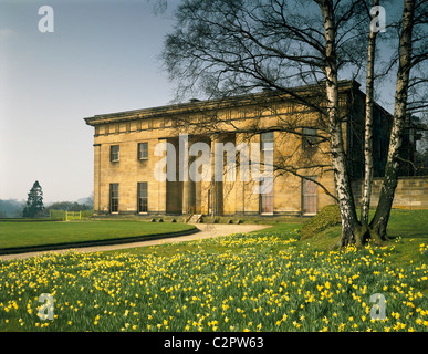 Belsay Hall. Fronte Orientale in primavera con il daffodils. 1817 Foto Stock