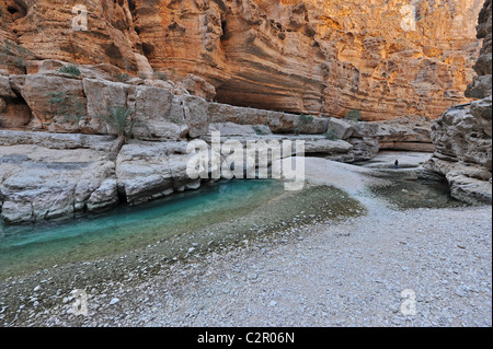 Oman, Wadi Fusc, piscina naturale con rocce, costeggiando sharp e scogliere rocciose Foto Stock