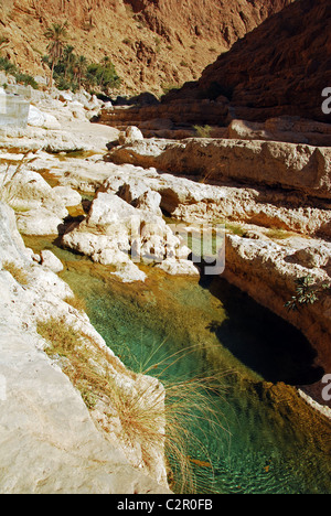 Oman, Wadi Fusc, naturale incontaminato piscina verde da scogliere rocciose con la sua riflessione in piscina Foto Stock