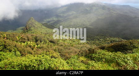 Misty sweep di nuvole sopra la foresta pluviale nelle montagne di El Yunque National Forest - Puerto Rico. Foto Stock