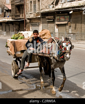 Carrello cavallo boy Aleppo Town City Siria Syrian Medio Oriente Foto Stock