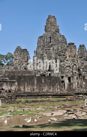 Angkor Tom, tempio Bayon, Siem Reap, Cambogia, Asia Foto Stock