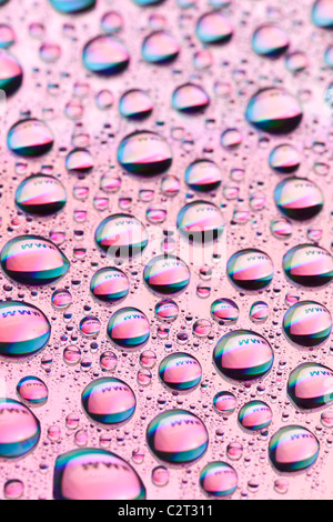 Le parole 'WWW' riflessa nelle gocce di acqua. Close-up di goccioline di acqua posto su un disco DVD Foto Stock