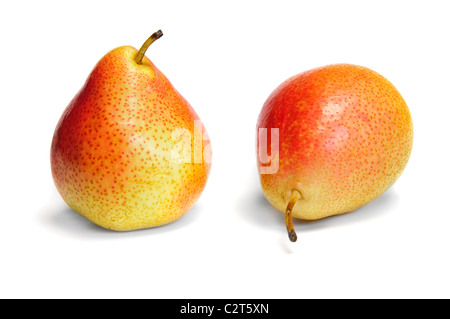 Due pera isolato su bianco Foto Stock