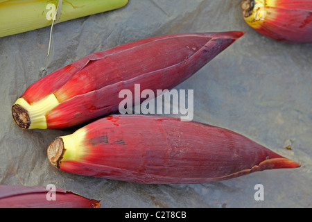 Fiori di banana, Musa x paradisiaca al mercato, Miao, Arunachal Pradesh, India Foto Stock