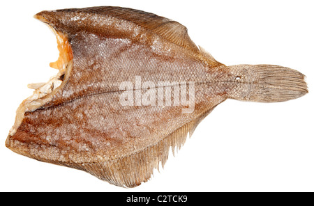 Gustoso pesce essiccati isolati su sfondo bianco Foto Stock