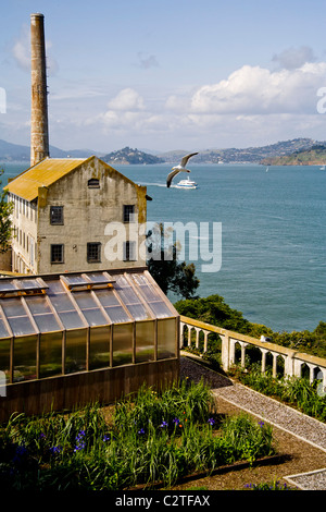 Isola casa potenza e serra a ex Alcatraz prigione federale nella Baia di San Francisco, CA. Nota Sausalito ferry. Foto Stock