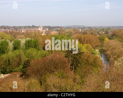 Vista da Santa Caterina sulla collina che guarda verso la Cattedrale di Winchester Hampshire England Regno Unito Foto Stock