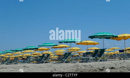 Ombrelloni sulla spiaggia di Viareggio Italia Foto Stock