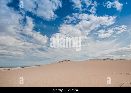 Dune di sabbia al Parque Natural de Corralejo Fuerteventura Foto Stock