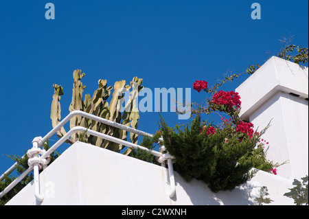 Graziosi fiori e un cactus piante su un balcone nella famosa località di Puerto Pollensa, Mallorca, Spagna Foto Stock