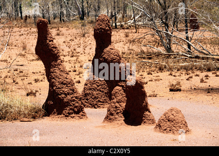 Red termite tumuli nell'outback, Pilbara, Northwest Australia Foto Stock