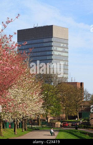 L'Arts Tower, Università di Sheffield e alberi in fiore nella valle di Crookes Park, Sheffield South Yorkshire, Inghilterra, Regno Unito. Foto Stock