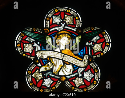 Inverness, St Andrews Cathedral, vittoriano in vetro colorato, Scozia Scottish finestra windows cattedrali REGNO UNITO Foto Stock