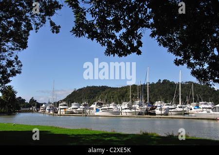 Barca marina, Whitianga Harbour, Whitianga, Mercurio Bay, Penisola di Coromandel, regione di Waikato, Isola del nord, Nuova Zelanda Foto Stock