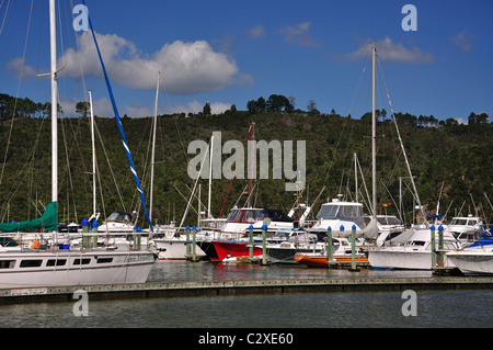 Barca marina, Whitianga Harbour, Whitianga, Mercurio Bay, Penisola di Coromandel, regione di Waikato, Isola del nord, Nuova Zelanda Foto Stock