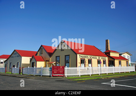 Thames School of Mines & Museo Mineralogico, Thames, Penisola di Coromandel, regione di Waikato, Isola del nord, Nuova Zelanda Foto Stock