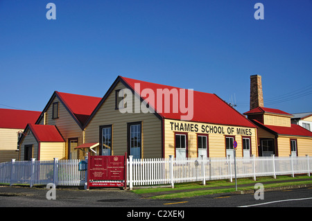 Thames School of Mines & Museo Mineralogico, Thames, Penisola di Coromandel, regione di Waikato, Isola del nord, Nuova Zelanda Foto Stock