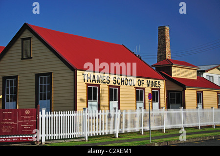 Thames School of Mines & Museo Mineralogico, Thames, Penisola di Coromandel, regione di Waikato, Isola del nord, Nuova Zelanda Foto Stock