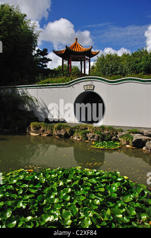 Gli studiosi cinesi giardino, Hamilton Gardens, Hamilton, regione di Waikato, Isola del nord, Nuova Zelanda Foto Stock