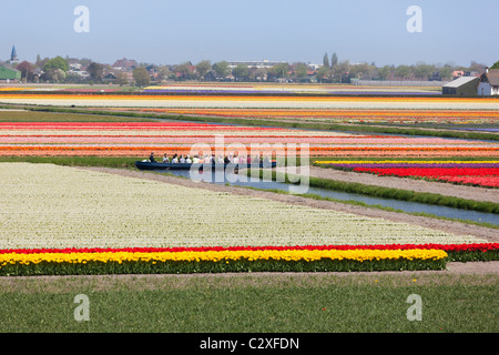 I visitatori in un viaggio attraverso la fioritura campi di tulipani da elettrico alimentato barca a Keukenhof Flower Garden in Lisse, Olanda. Foto Stock