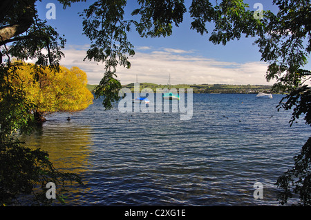 Vista sul lago in autunno, miglio Bay, il lago Taupo, Taupo, regione di Waikato, Isola del nord, Nuova Zelanda Foto Stock