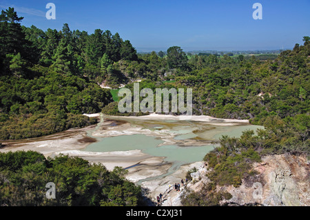 Padella piatta da lookout, Wai-O-Tapu Thermal Wonderland, Rotorua, Baia di Planty Regione, Isola del nord, Nuova Zelanda Foto Stock