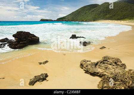 Blinky spiaggia, un popolare pausa di surf sulla costa est di questo isolato sito Patrimonio Mondiale, Isola di Lord Howe, NSW, Australia Foto Stock