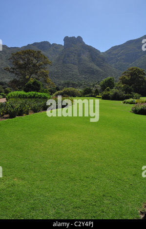 Caduta di Kirstenbosch National Botanical Gardens, Città del Capo Foto Stock