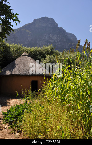 Caduta di Kirstenbosch National Botanical Gardens, Città del Capo Foto Stock