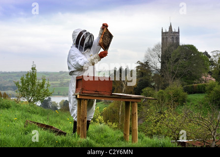 Un apicoltore assiste al suo alveare nel Somerset villaggio di Blagdon REGNO UNITO Foto Stock