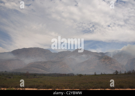 Bush Fire che è fuori controllo, fiamme, fumo, paesaggio Foto Stock