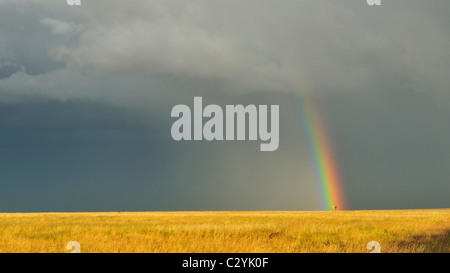 Tempesta di avanzamento e rainbow, stato libero vicino al Lesotho, Sud Africa Foto Stock