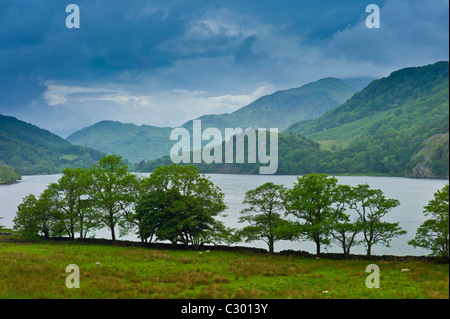 Biancospino alberi nel paesaggio gallese nel Parco Nazionale di Snowdonia presso il lago di Llyn Gwynant, Gwynedd, Galles Foto Stock