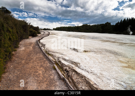 Wai-O-Tapu Paese delle Meraviglie. Area geotermica in Wai-O-Tapu, Rotorua, Isola del nord, Nuova Zelanda. Foto Stock