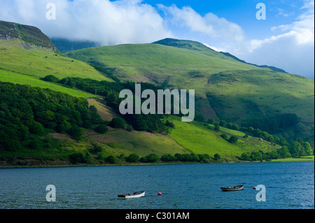 Barche da pesca sotto il cielo ceruleo sul lago tal-Y-Llyn, Snowdonia, Gwynned, Galles Foto Stock