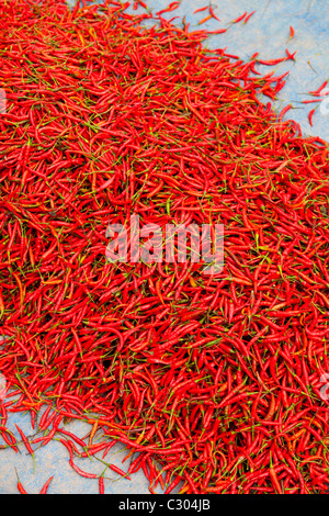 Pila di fresco, red hot bird's eye Chili Peppers - Kampong Cham Provincia, Cambogia Foto Stock