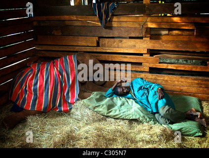 Un elefante ORFANI CHE STABILISCE a dormire con il suo custode. SHELDRICK TRUST . KENYA Foto Stock