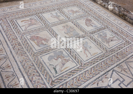 Rappresentazioni di mosaico romano di animali nella città abbandonate di Italica, vicino a Siviglia. Foto Stock