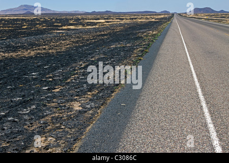 Conseguenze degli incendi che hanno devastato la terra ranch vicino a Marfa e Fort Davis, West Texas. Foto Stock